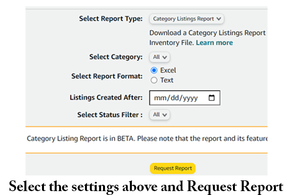 showing the user what settings to use when downloading the category listing report